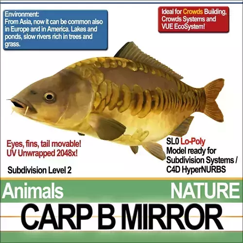 Carp B Mirror 3D model