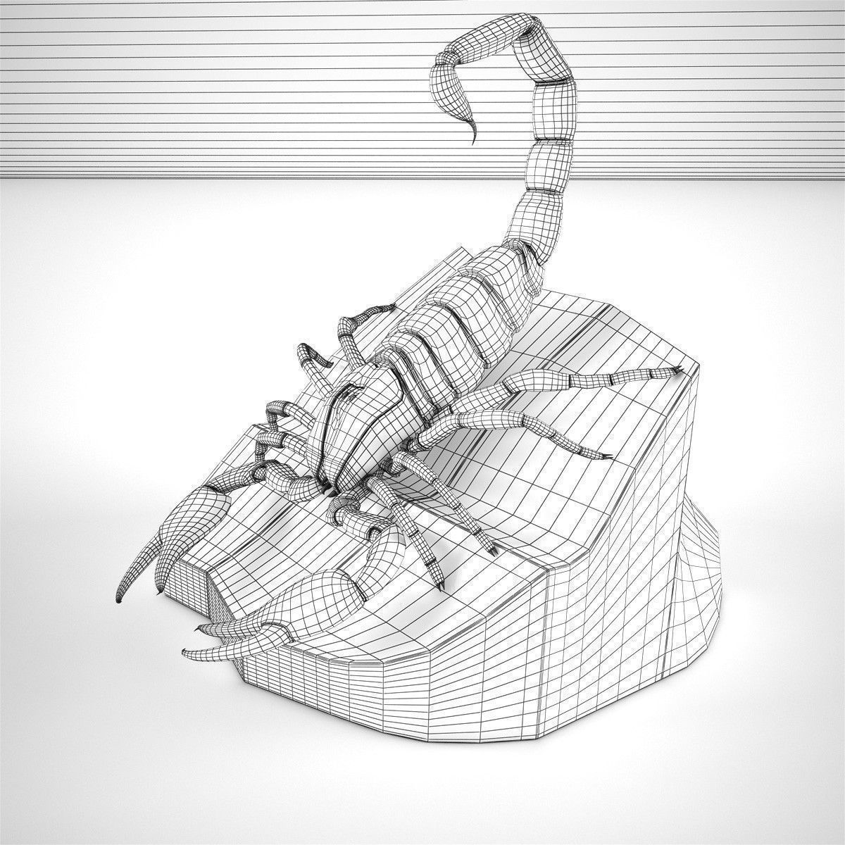 Scorpion on rock 3D model_1