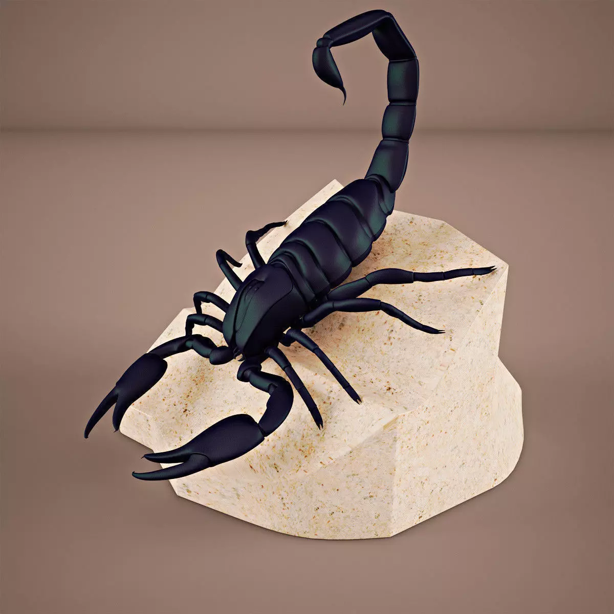 Scorpion on rock 3D model_0