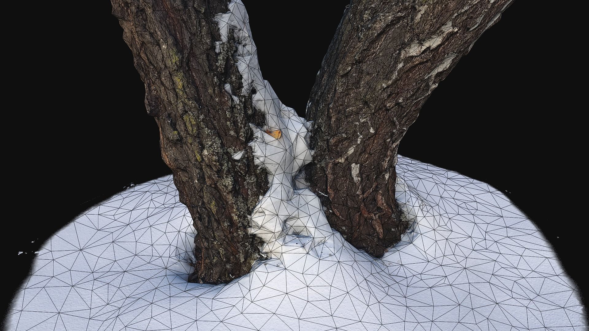 Photoscan Birch trunk with snow 4 Low-poly 3D model_1