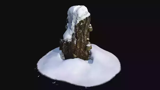 Photoscan Stump with snow 2