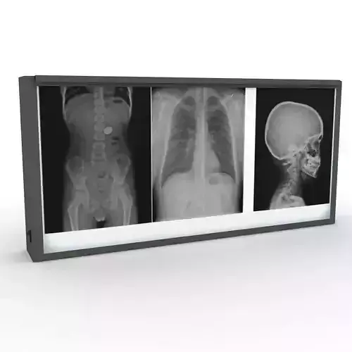 XRay Light Box 3D model