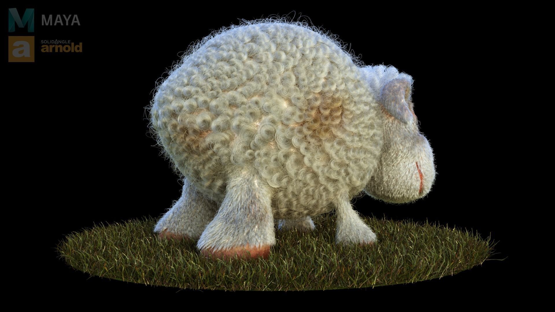 Sheep Dog for production render in Maya 2018 Arnold 3D model_2