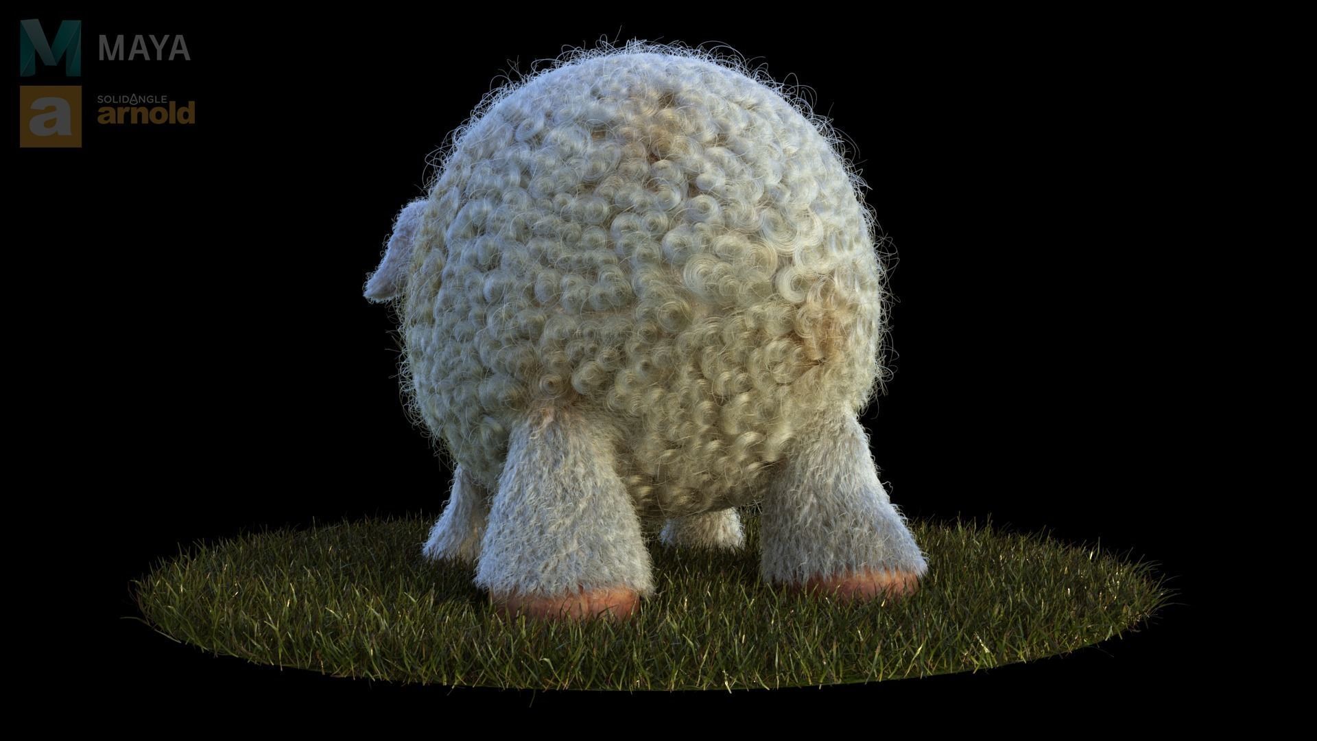 Sheep Dog for production render in Maya 2018 Arnold 3D model_3