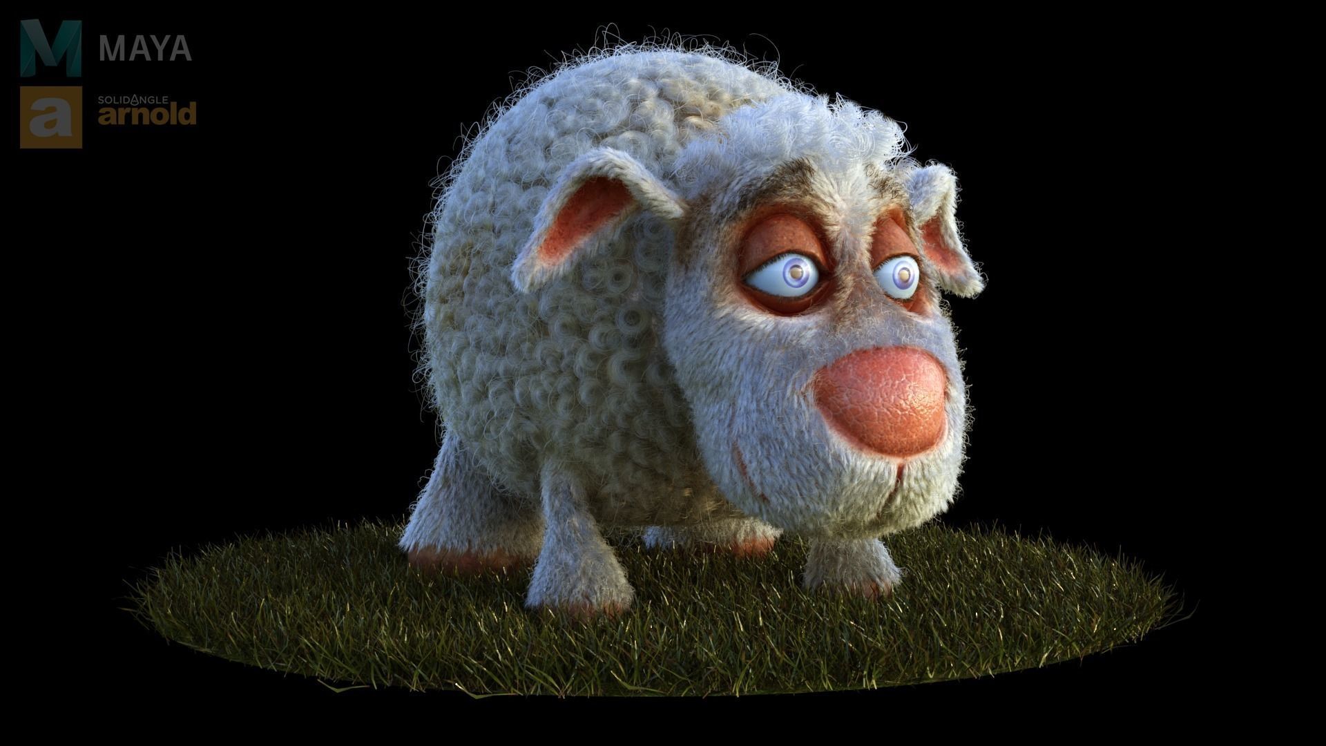 Sheep Dog for production render in Maya 2018 Arnold 3D model_6