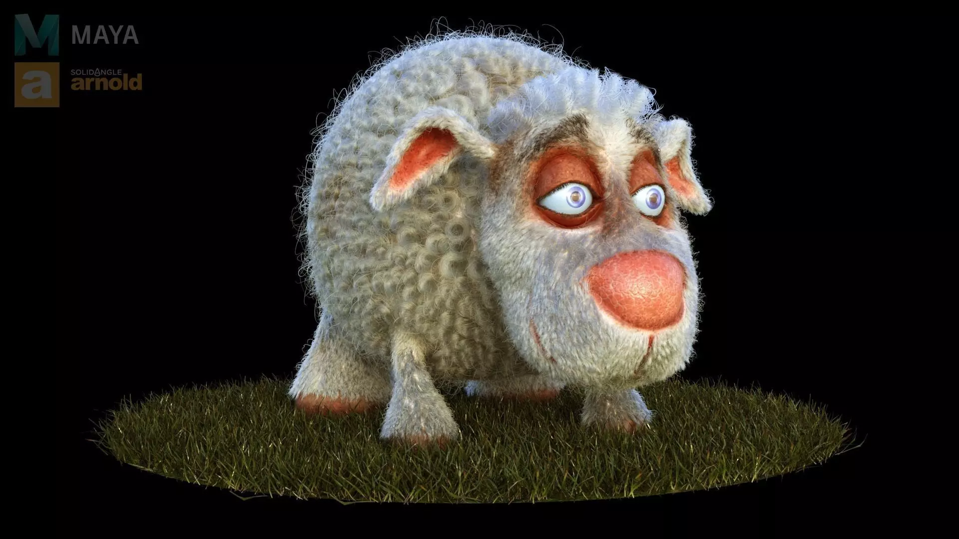 Sheep Dog for production render in Maya 2018 Arnold 3D model_0
