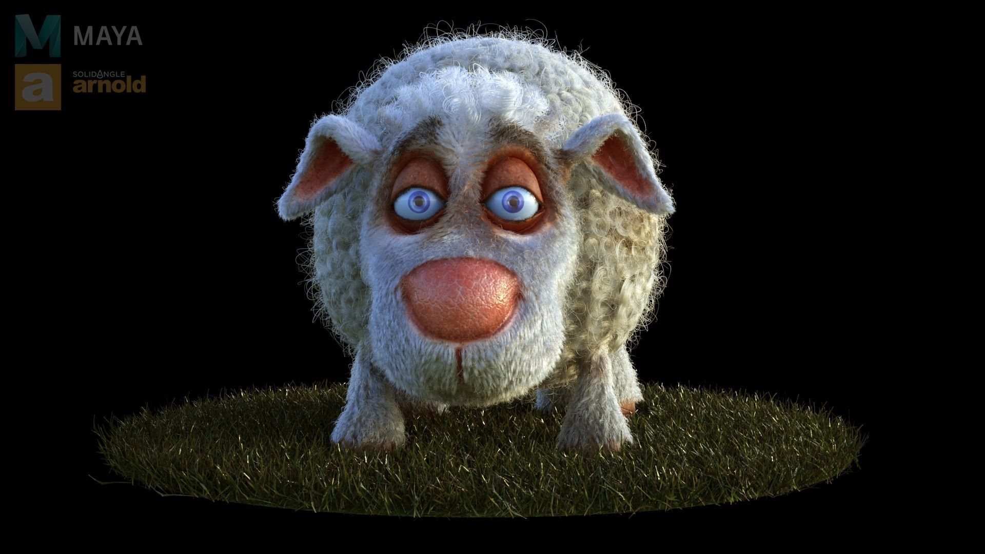 Sheep Dog for production render in Maya 2018 Arnold 3D model_5