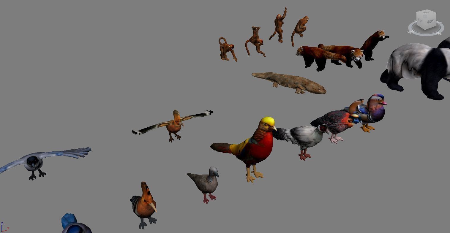 Animals birds  3D print model_4