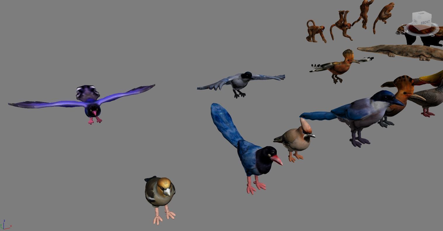 Animals birds  3D print model_2