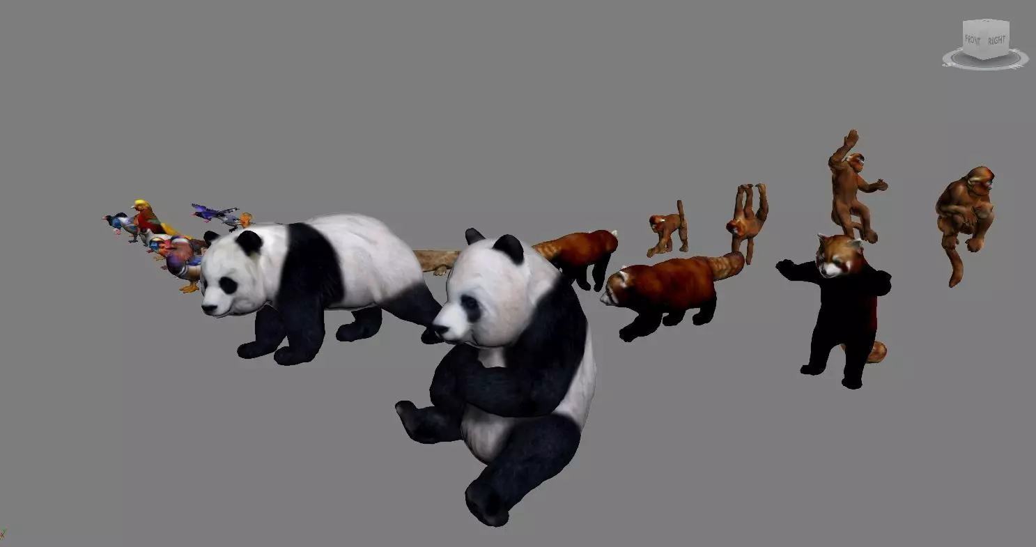 Animals birds  3D print model_0