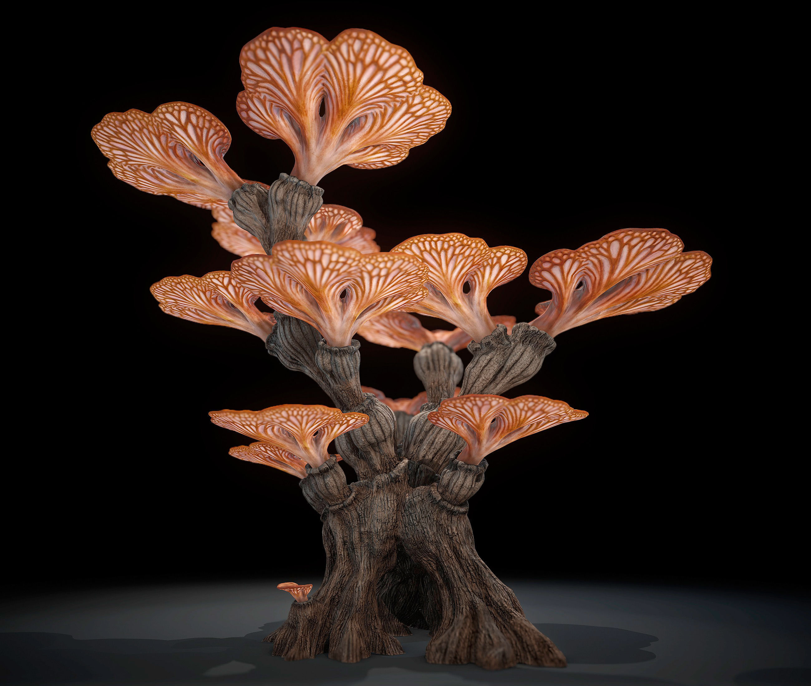 Alien Plant Mushroom Type 1 Low-poly 3D model_4