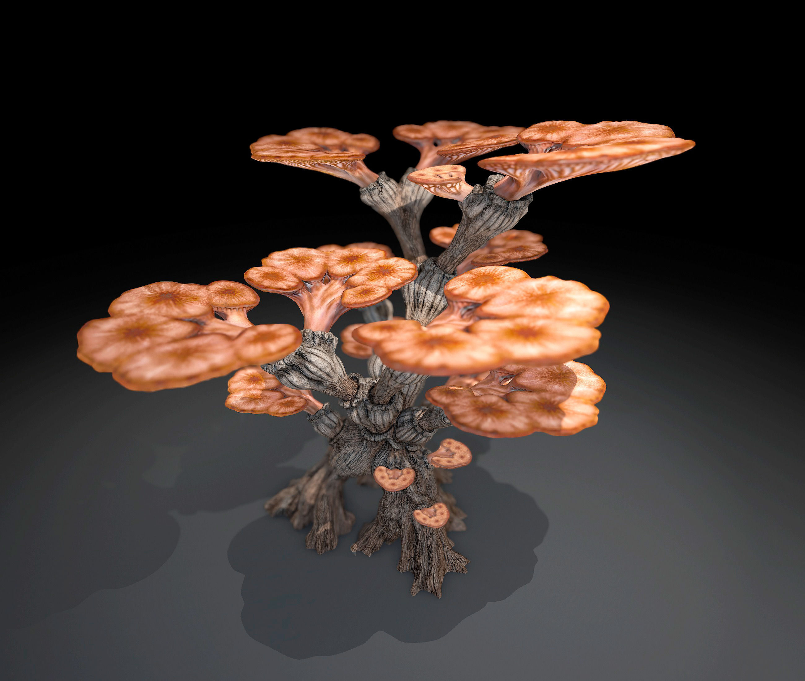 Alien Plant Mushroom Type 1 Low-poly 3D model_5