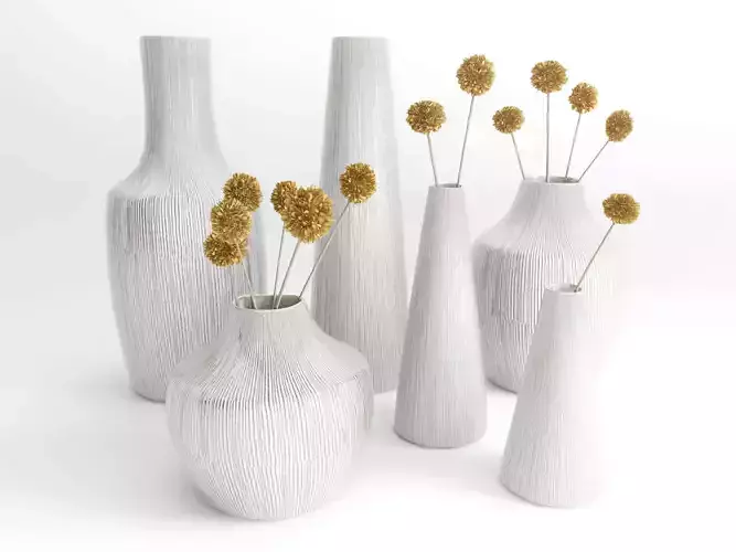 Vases with dried flowers