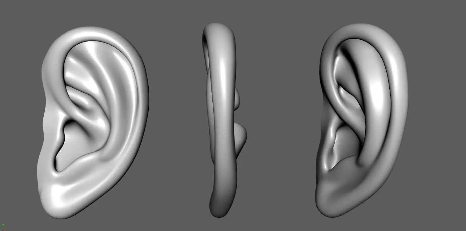 Ear 01- Low-poly 3D model_0