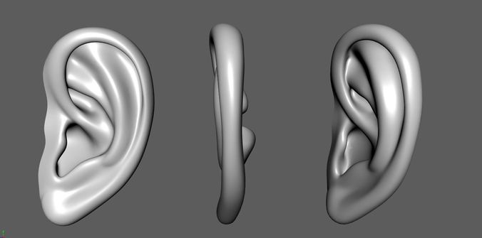 Ear 01- Low-poly 3D model