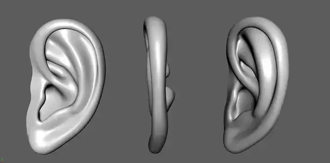 Ear 01- Low-poly 3D model
