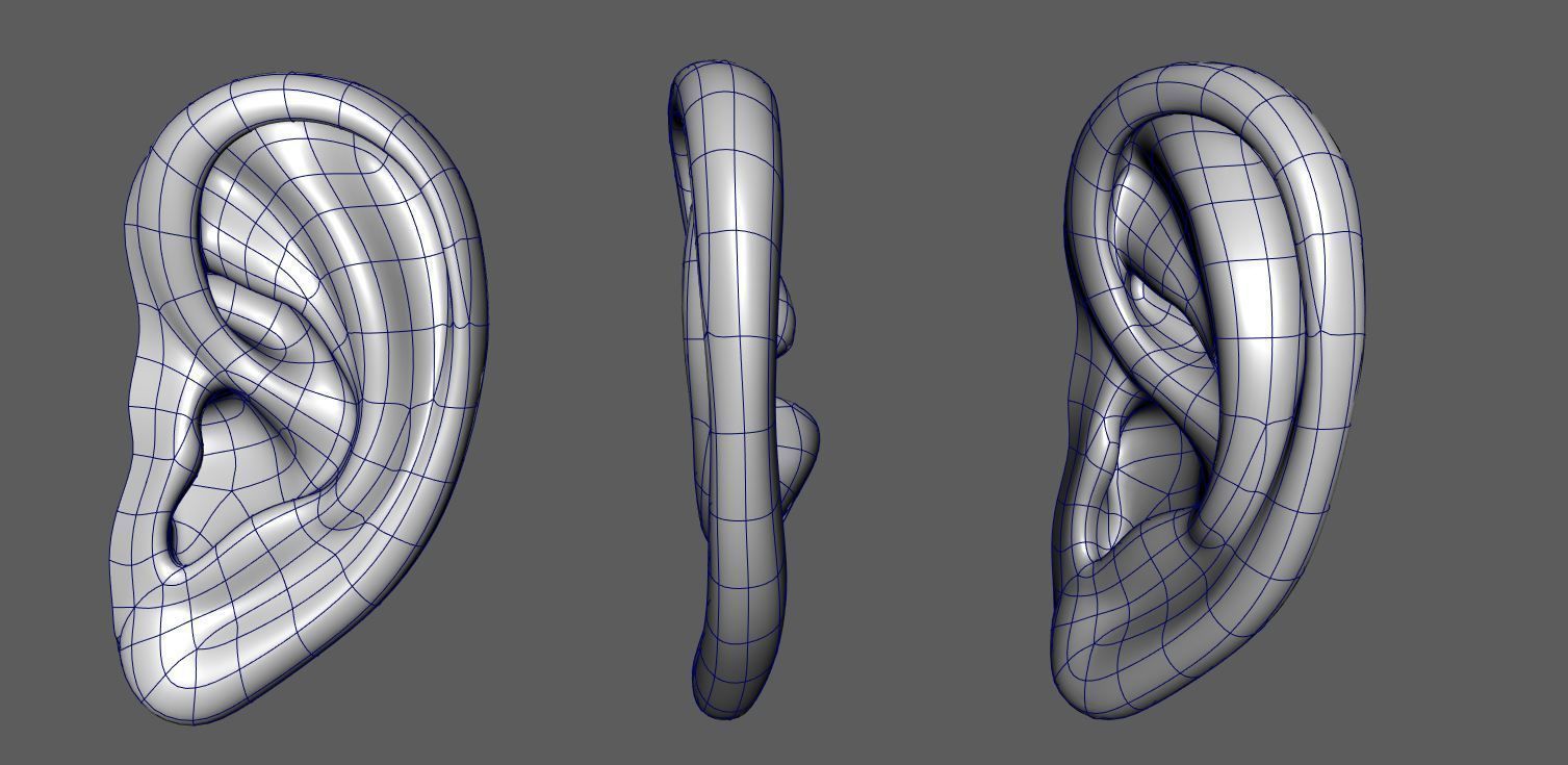 Ear 01- Low-poly 3D model_1