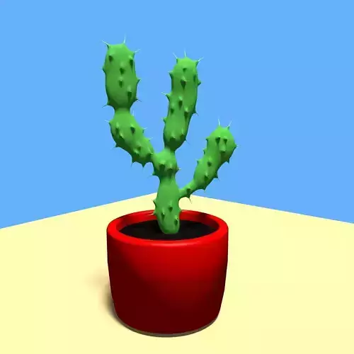 Cactus House Plant