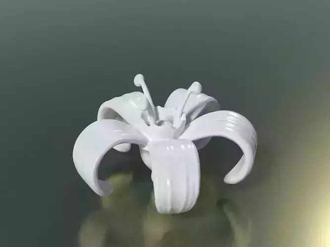 Flower lily 3D print model