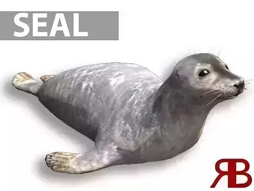 Seal animated Low-poly 3D model