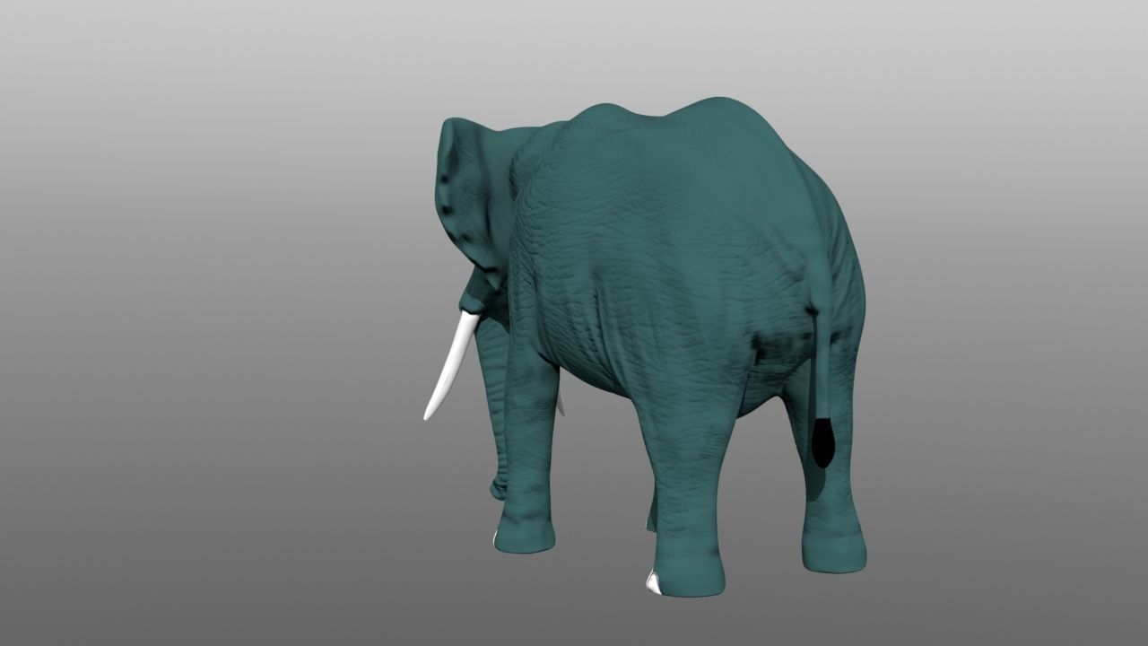Elephant low poly 3D model with long tusks Low-poly 3D model_6