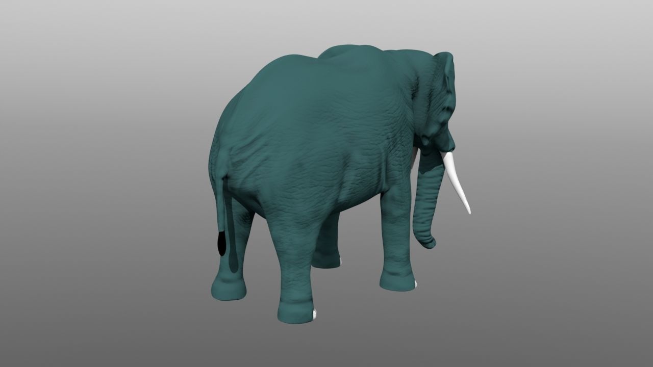 Elephant low poly 3D model with long tusks Low-poly 3D model_7