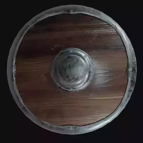 3rd person round shield