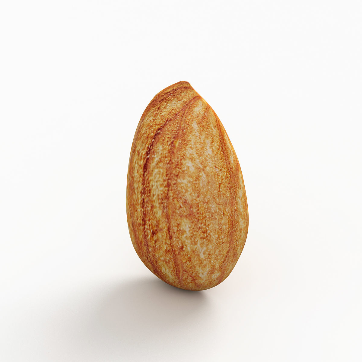 Almond 3D model_1