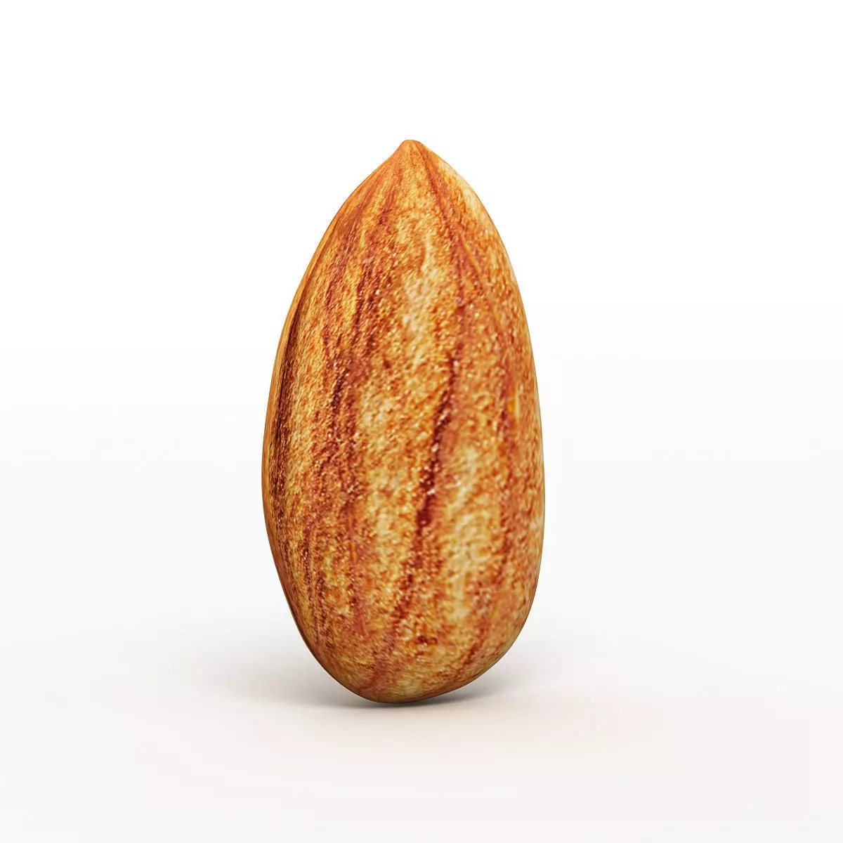 Almond 3D model_0