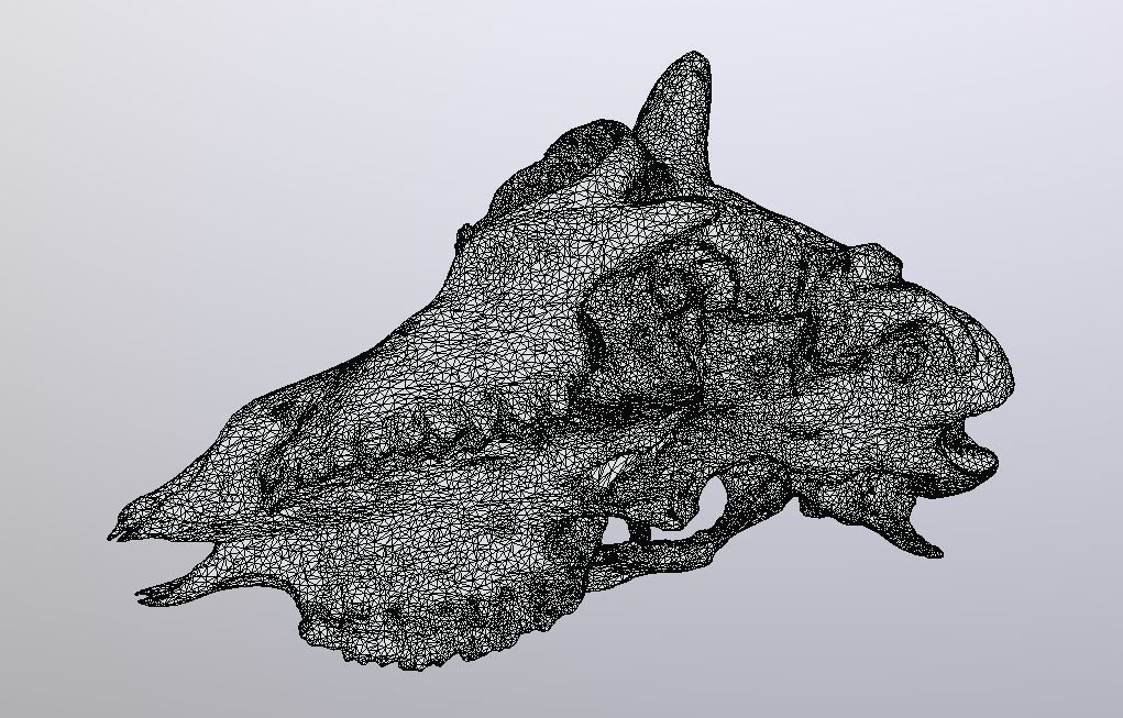 Young Sheep Skull 3D model_8