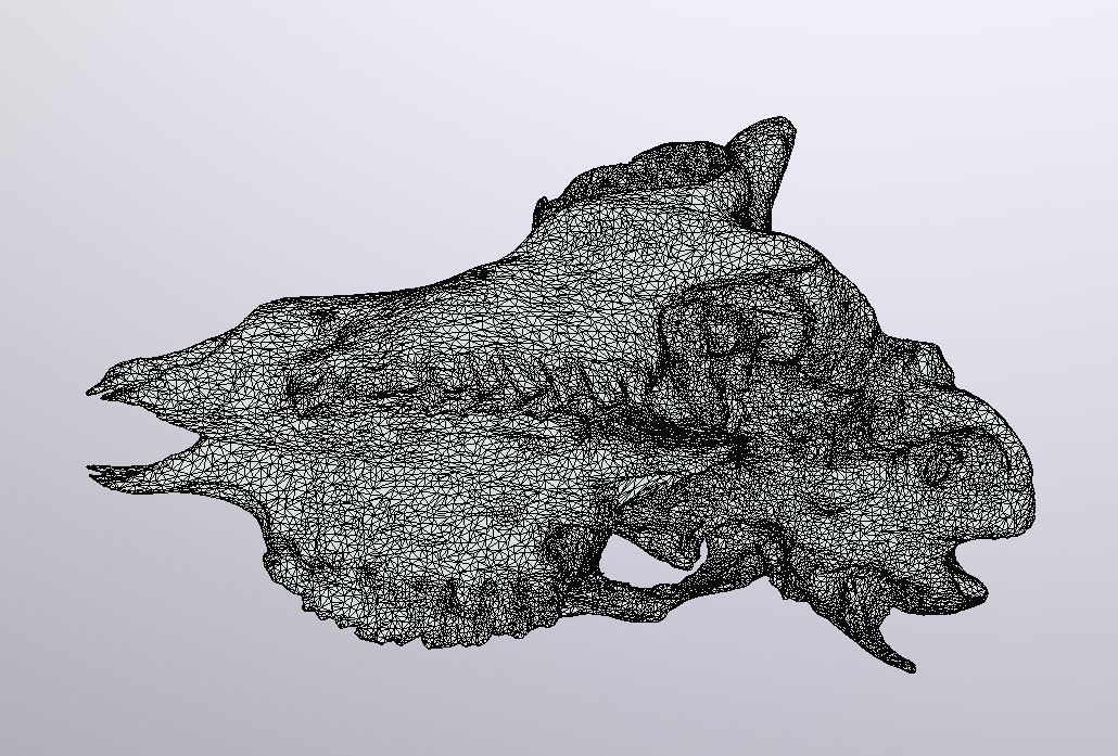 Young Sheep Skull 3D model_7