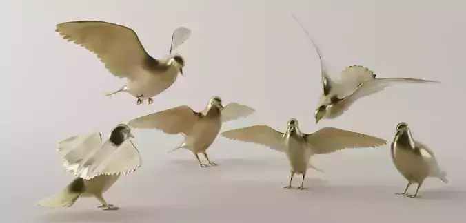 Birds gold pigeons flying in air