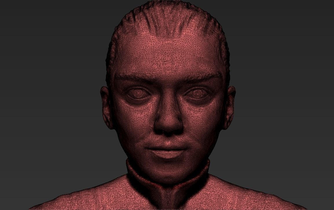 Game of Thrones pack Daenerys Arya full color 3D printing 3D print model_53