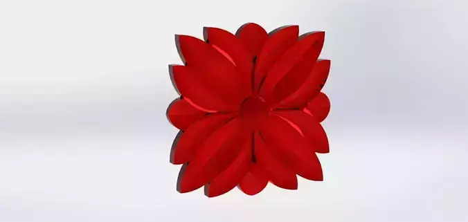 rosette flower
