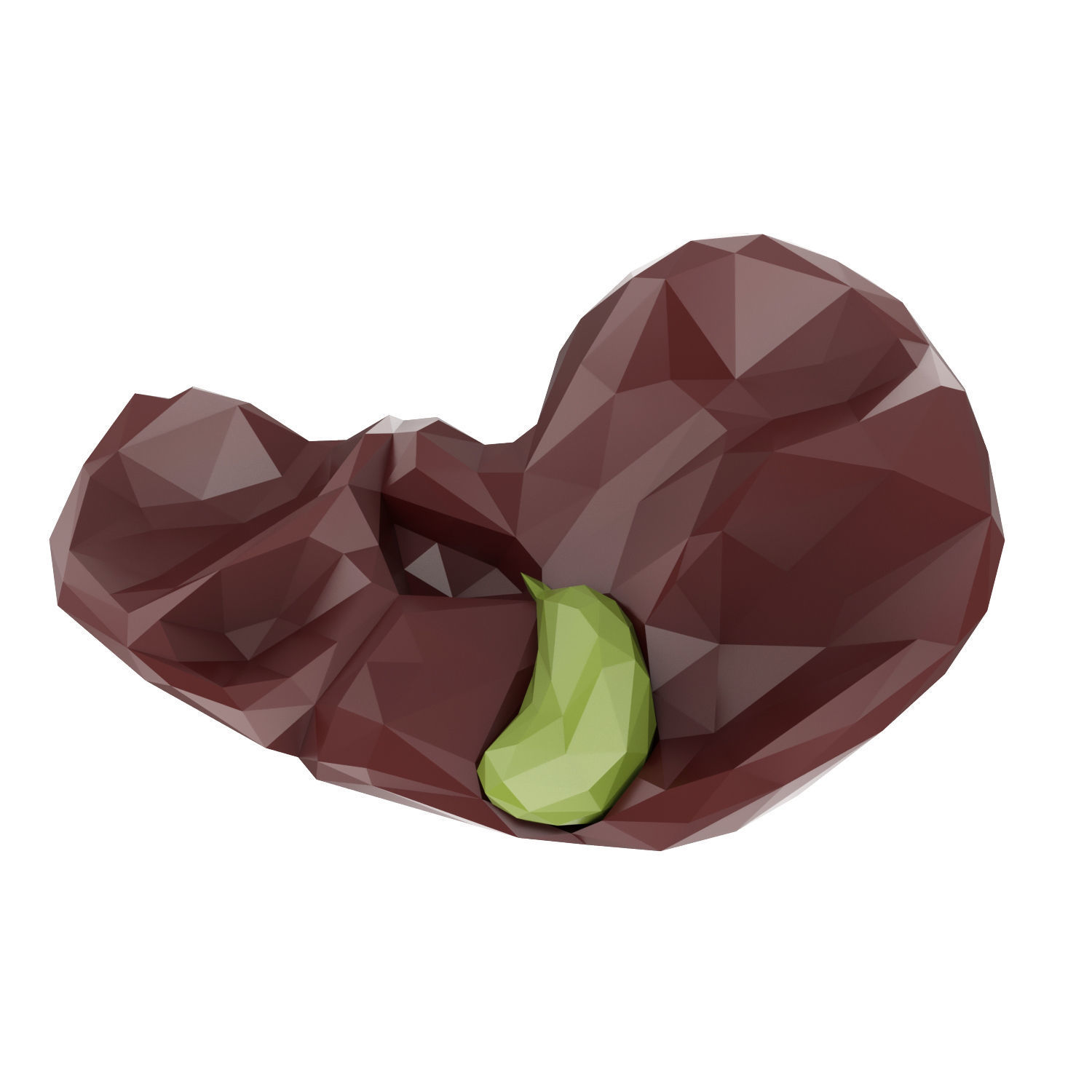 Liver Low Poly Low-poly 3D model_2