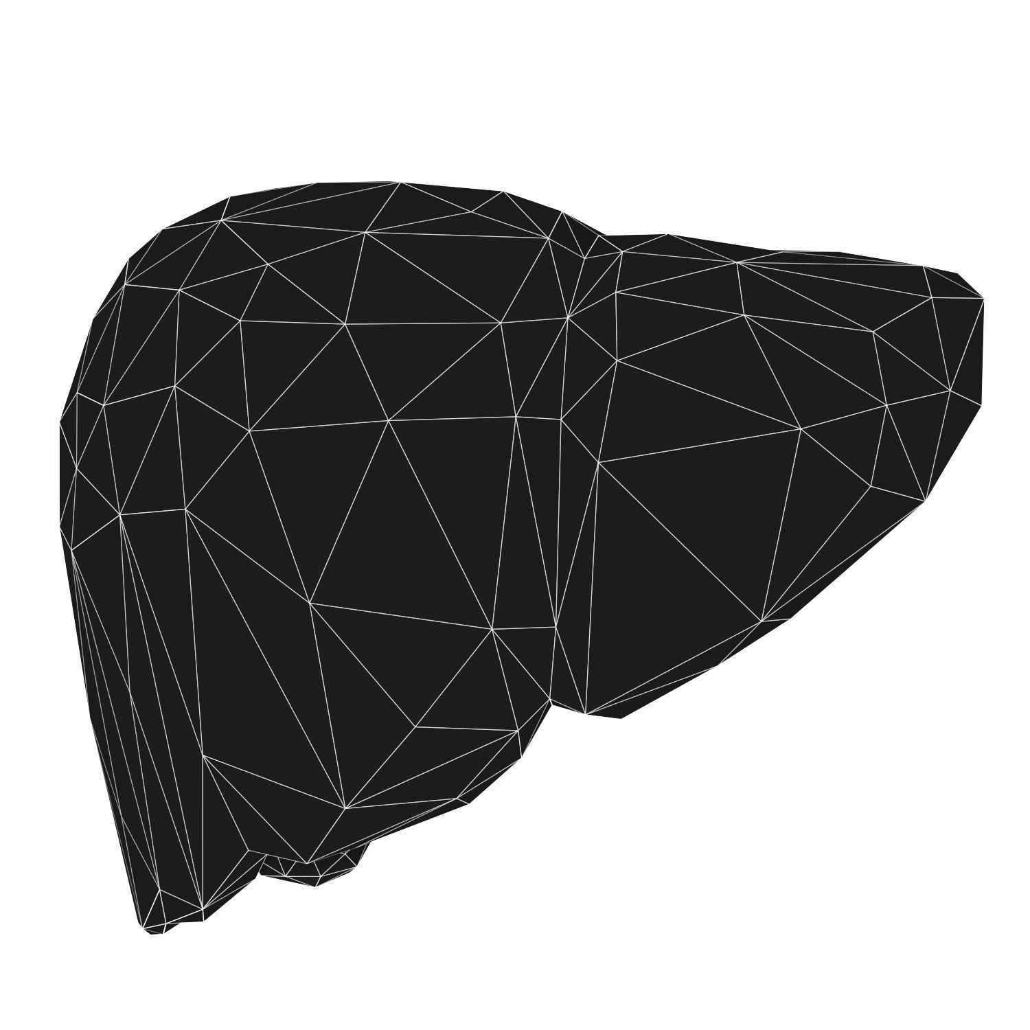 Liver Low Poly Low-poly 3D model_4