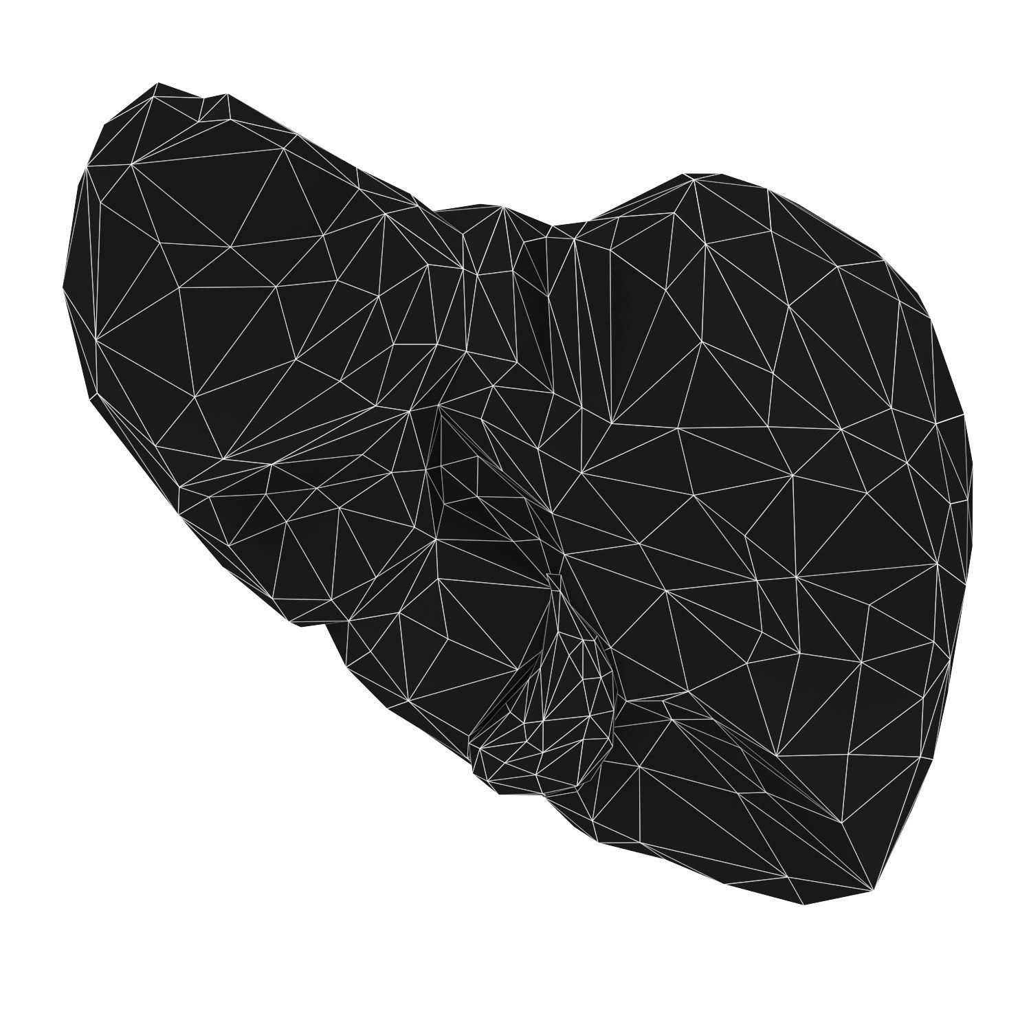 Liver Low Poly Low-poly 3D model_5