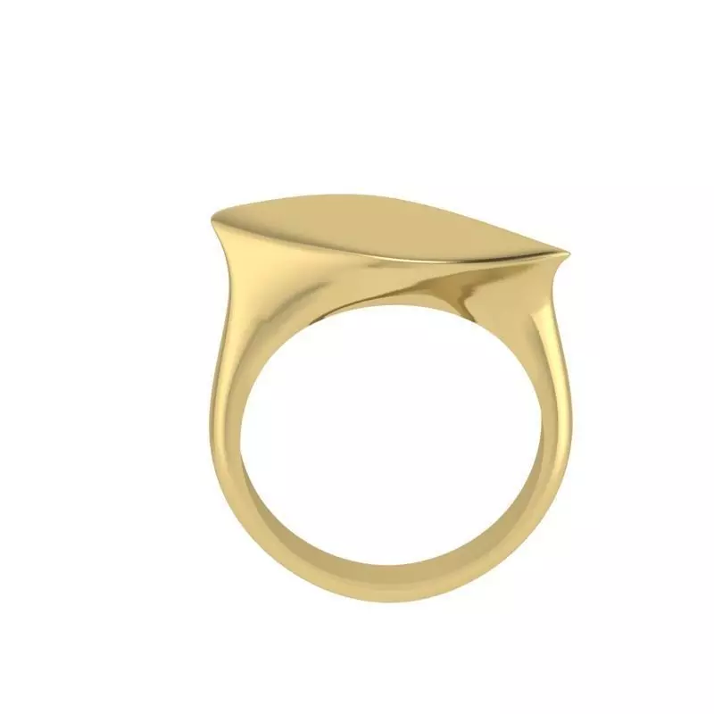 ring 0058 Free 3D print model