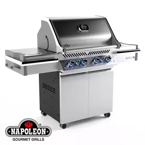 Grill Napoleon PRO 500