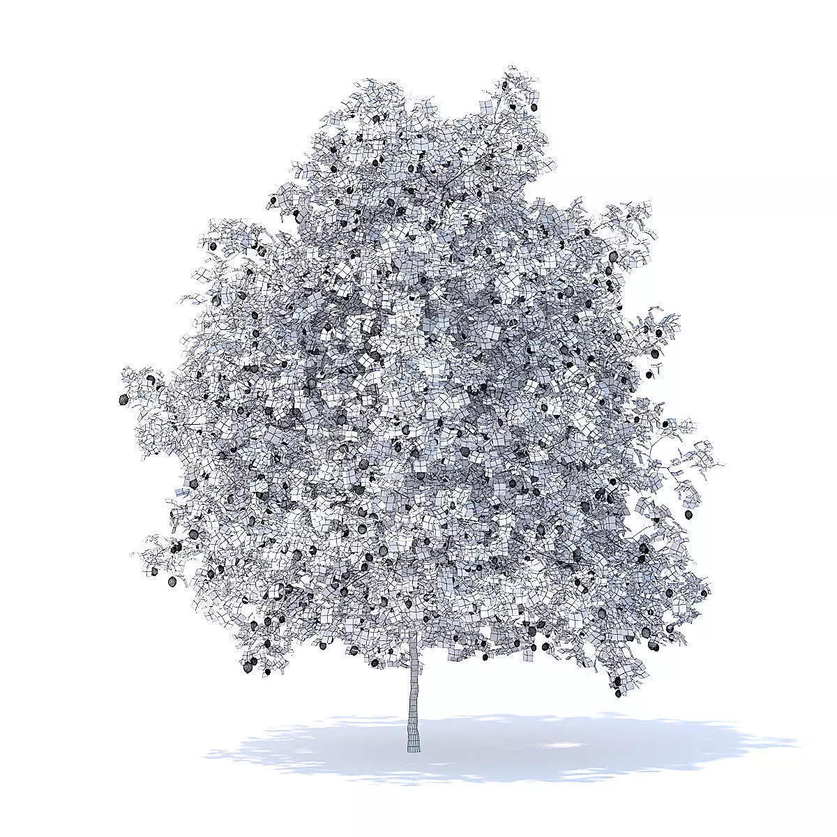 Lemon Tree with Fruits 3D Model 3D model