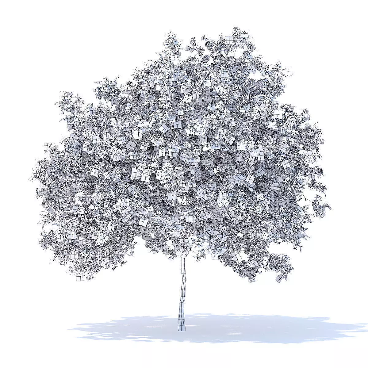 Lemon Tree with Flowers 3D Model 3D model