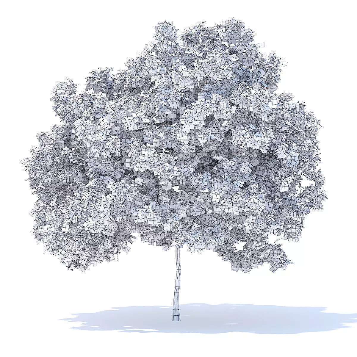 Lemon Tree 3D Model 3D model