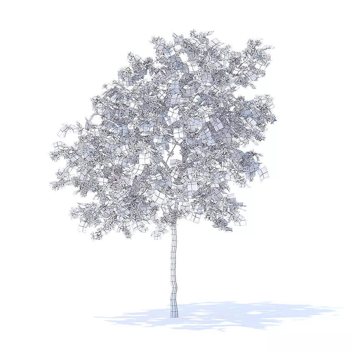 Lemon Tree with Flowers 3D Model 3D model