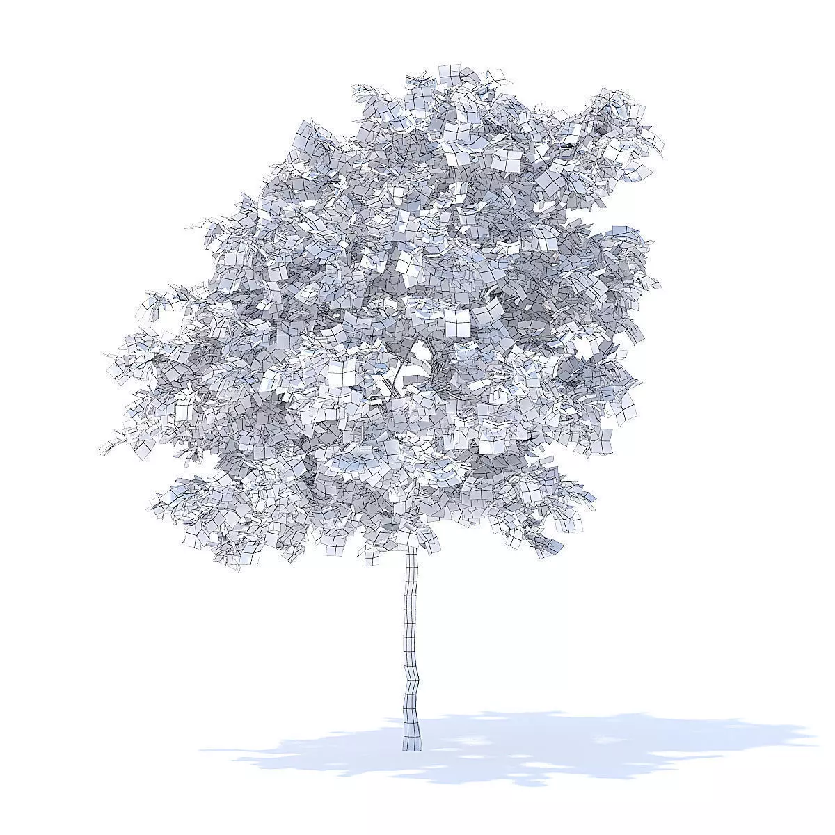 Lemon Tree 3D Model 3D model