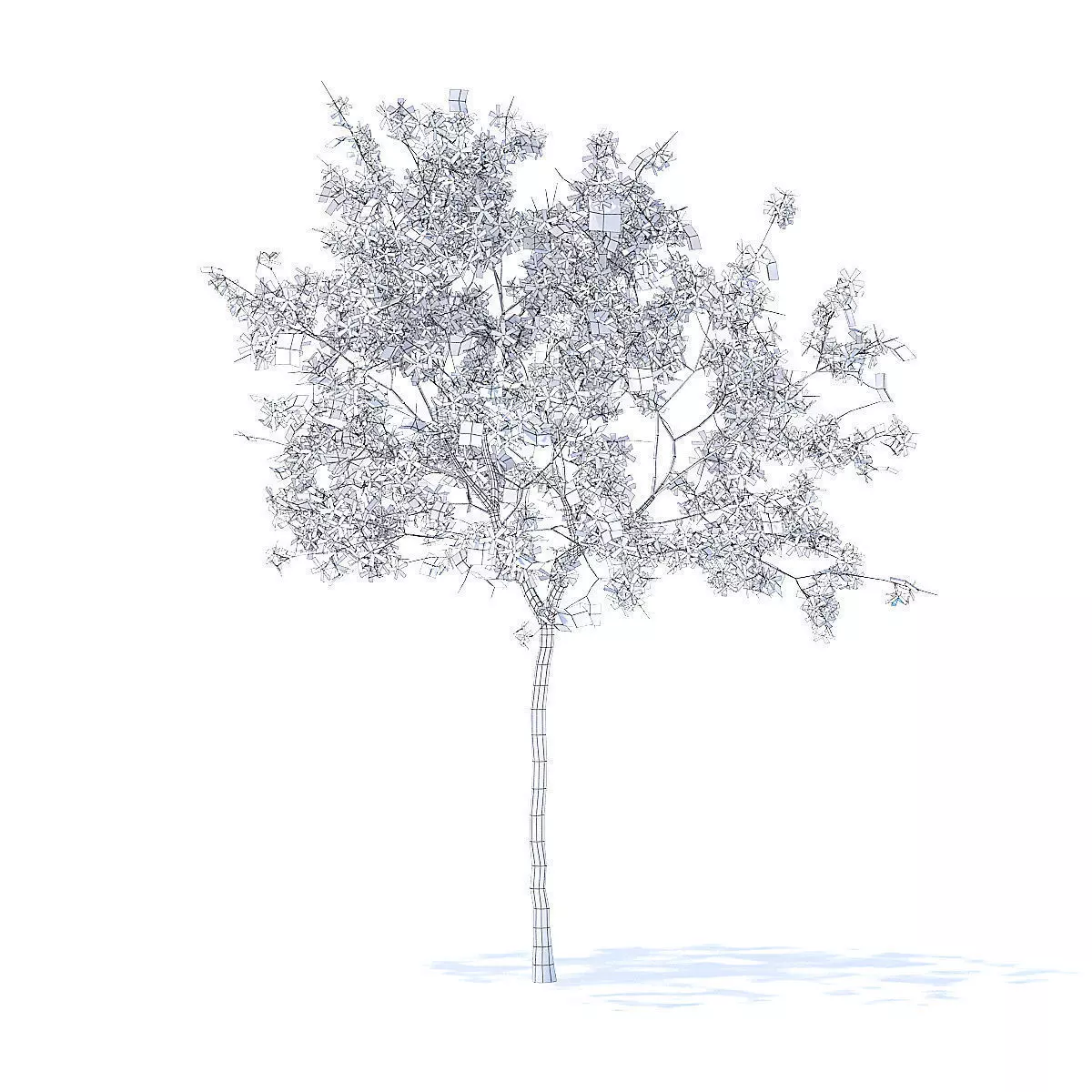 Lemon Tree with Flowers 3D Model 3D model
