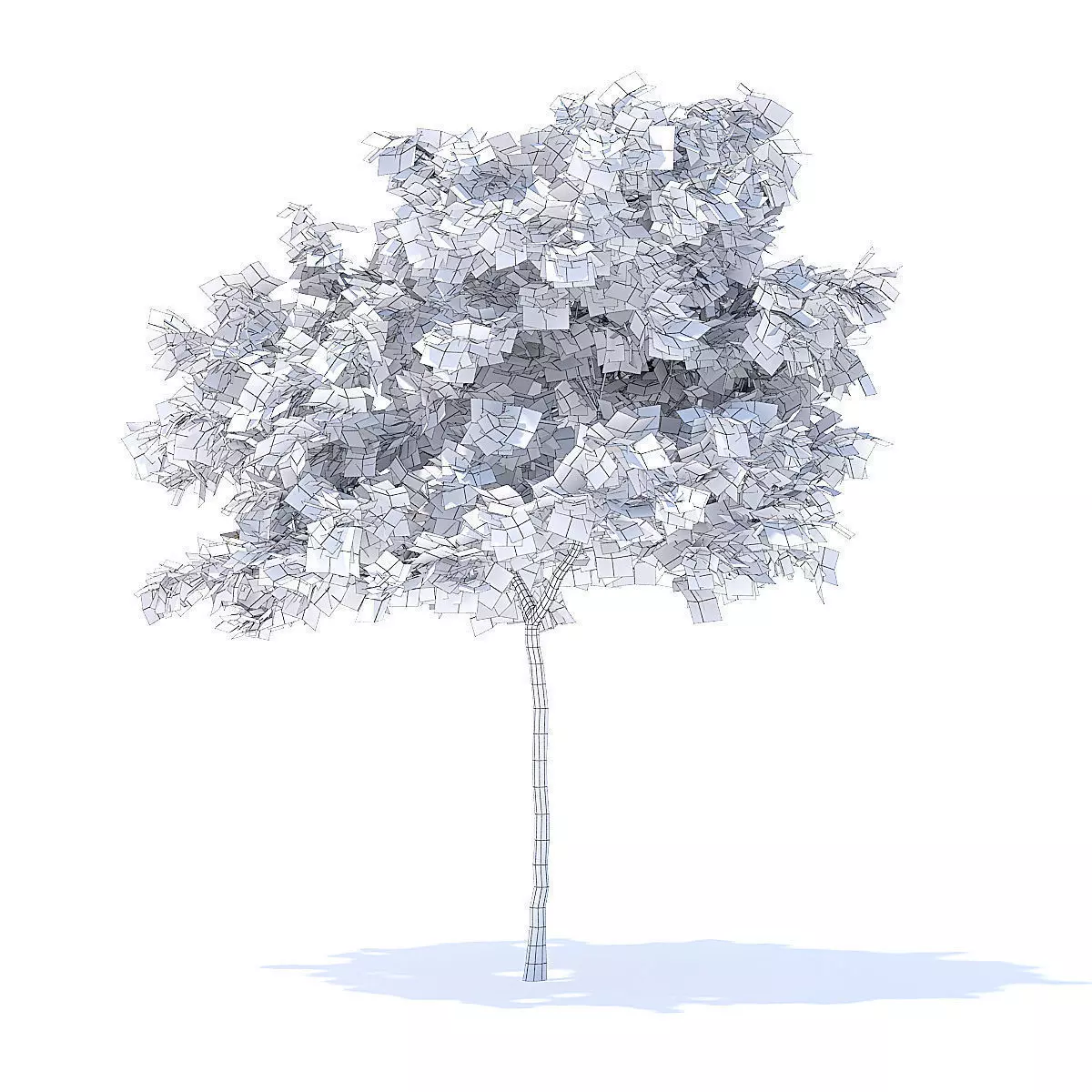 Lemon Tree 3D Model 3D model_4