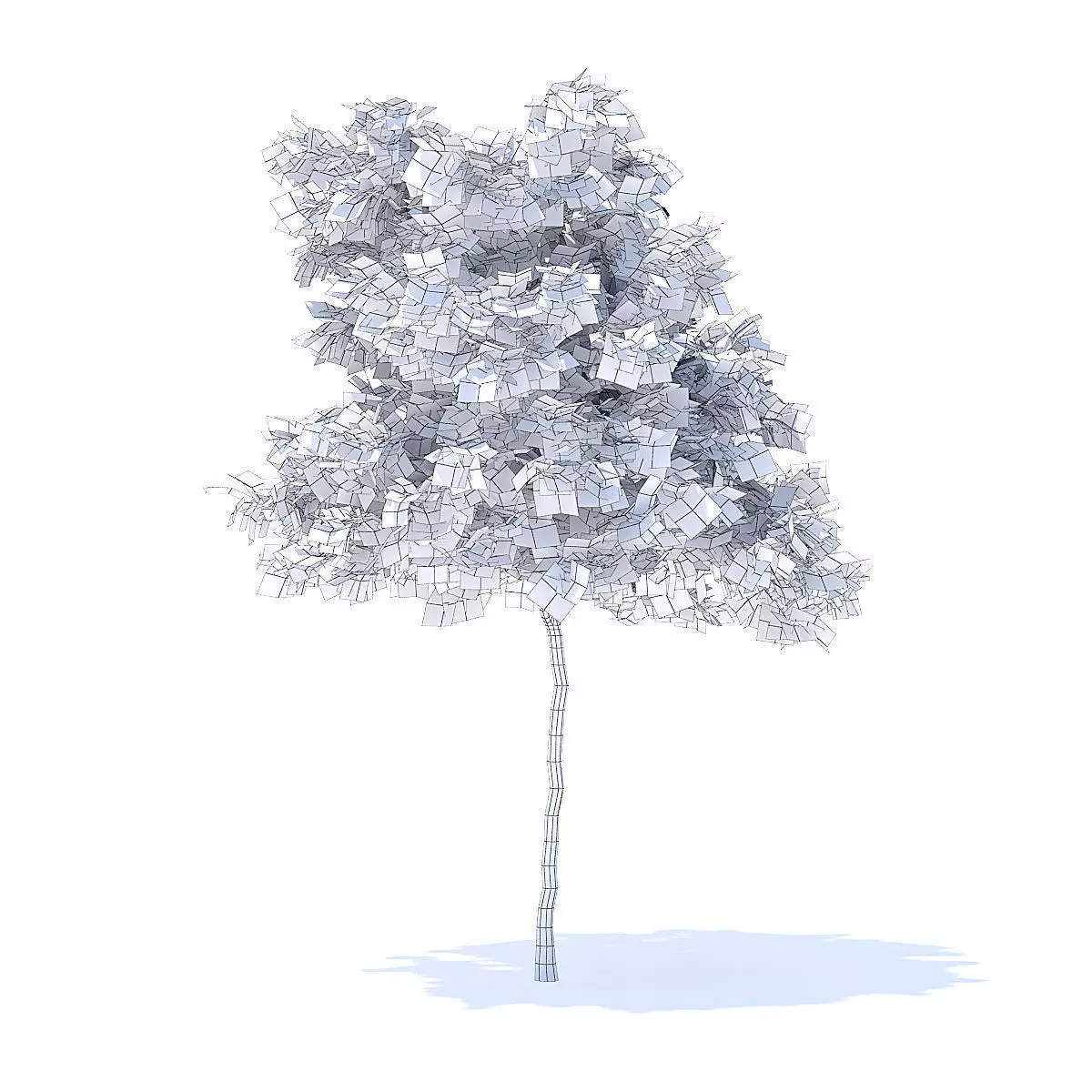 Lemon Tree 3D Model 3D model_6