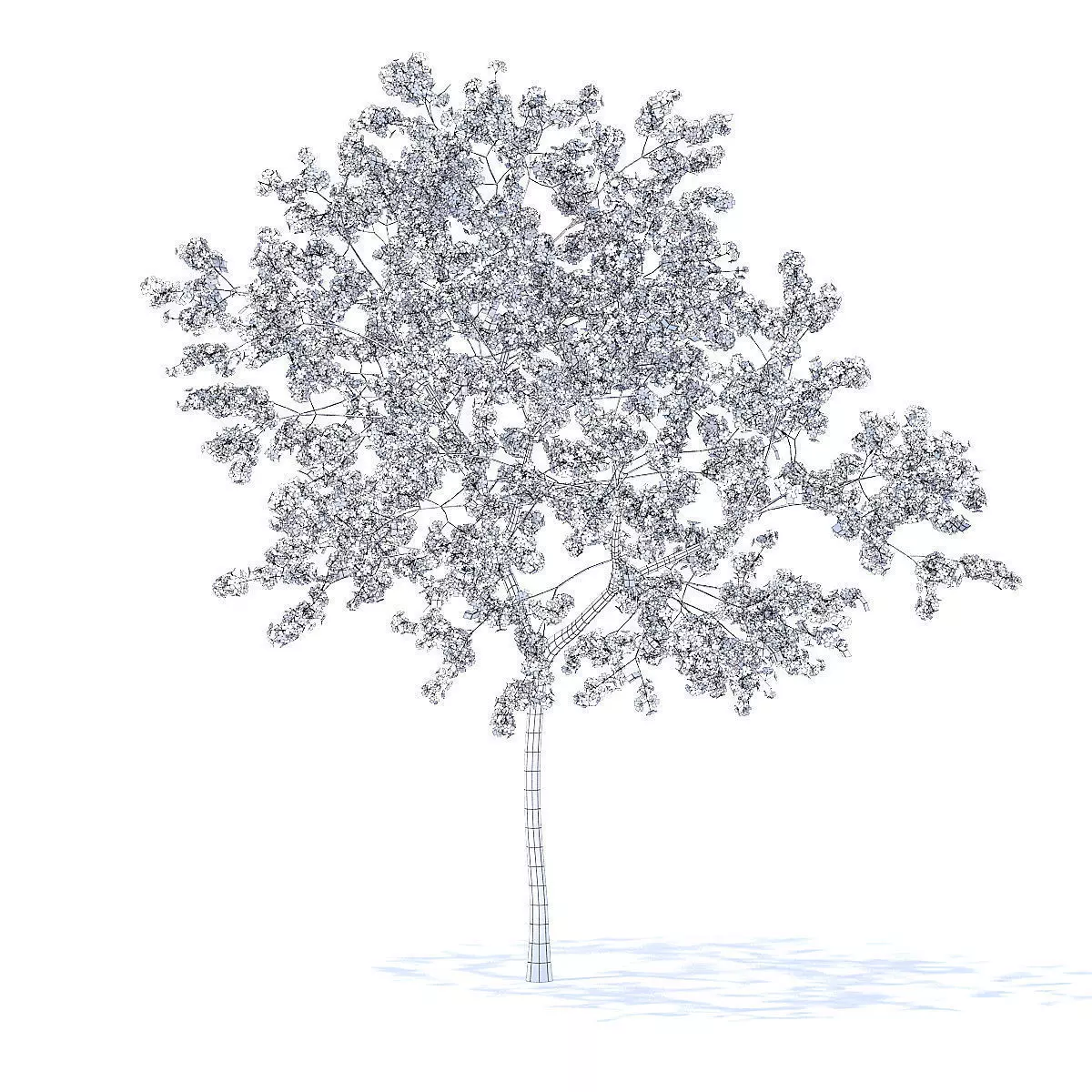 Peach Tree with Flowers 3D Model 3D model_0