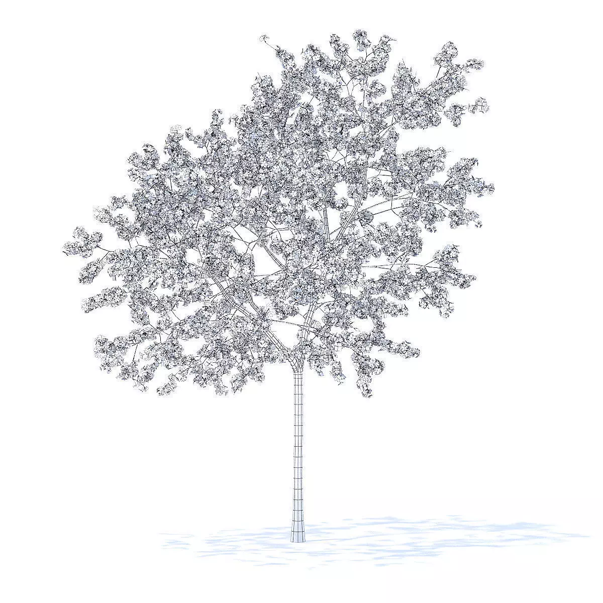 Peach Tree with Flowers 3D Model 3D model_2