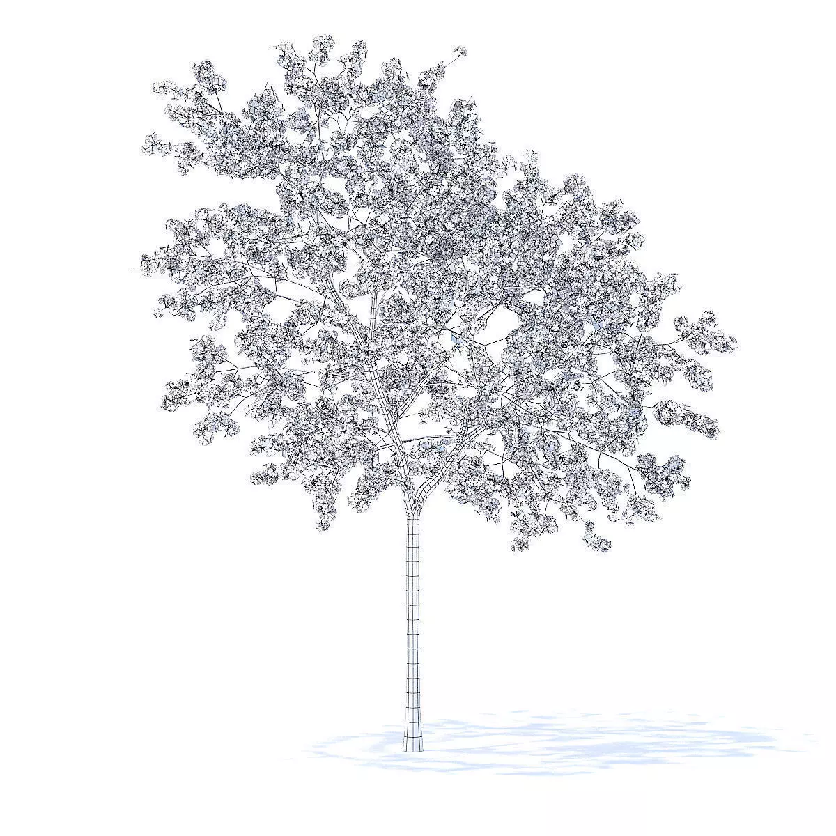 Peach Tree with Flowers 3D Model 3D model_6